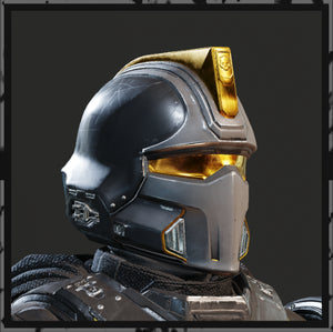 Hero of The Federation Helmet Helldivers2 Display